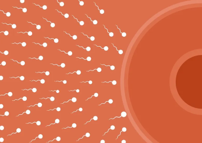 天津南开医院口碑怎么样?，天津南开医院三代试管婴儿移植胚胎费用多少？ 