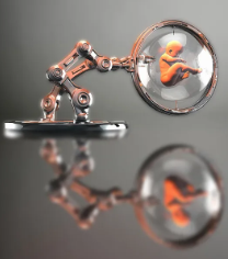 柬埔寨试管要多少钱呀，柬埔寨哪家医院做龙凤胎移植成功率高？ 