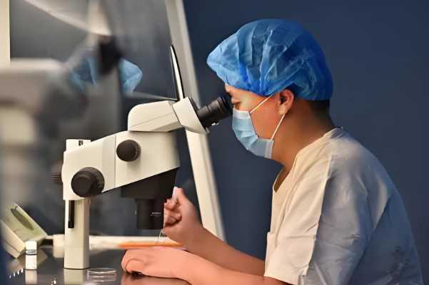 格鲁吉亚第三方辅助生殖机构，格鲁吉亚辅助生殖机构能够做胎儿的性别筛选么？ 